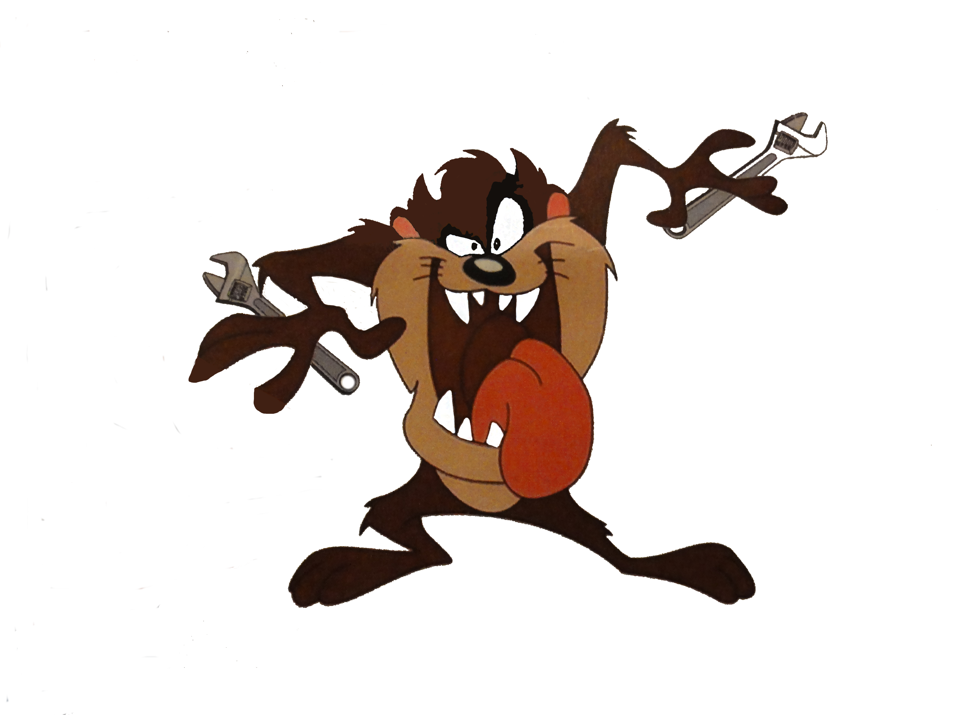 taz tool left pic
